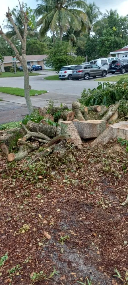 Reliable lawn mowing service in Boynton Beach, FL - No Room for Error Tree Tech