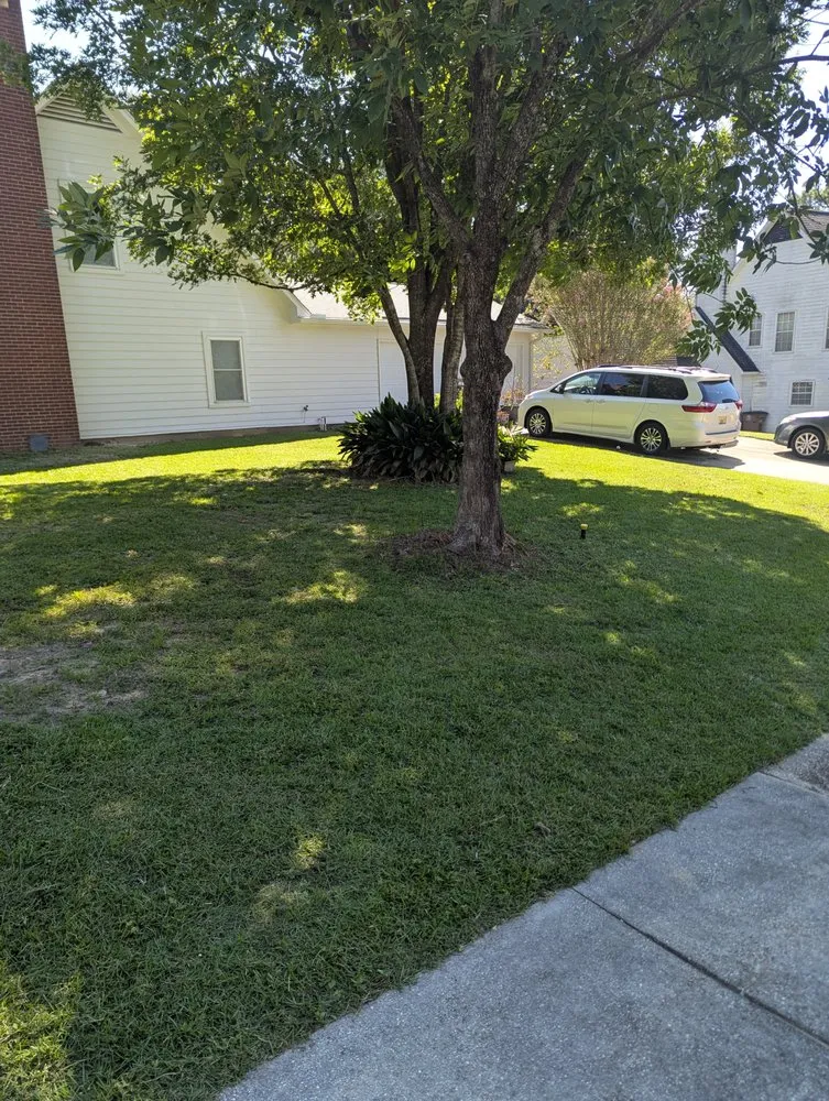 Trusted yard cleanup service in Mobile, AL - No Sass Just Grass