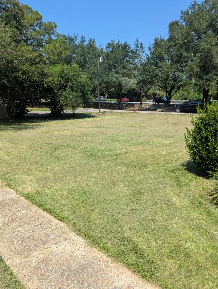Top-rated yard cleanup service in Mobile, AL by No Sass Just Grass