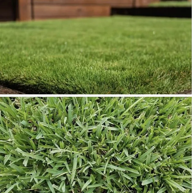 Expert garden landscaping for year-round maintenance across Converse, TX - No Shoes Landscaping