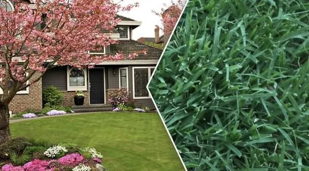 Expert landscape installation in Converse, TX - No Shoes Landscaping