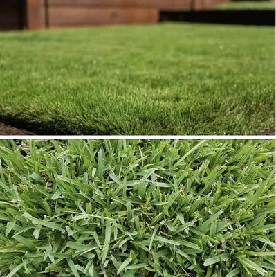 No Shoes Landscaping Logo