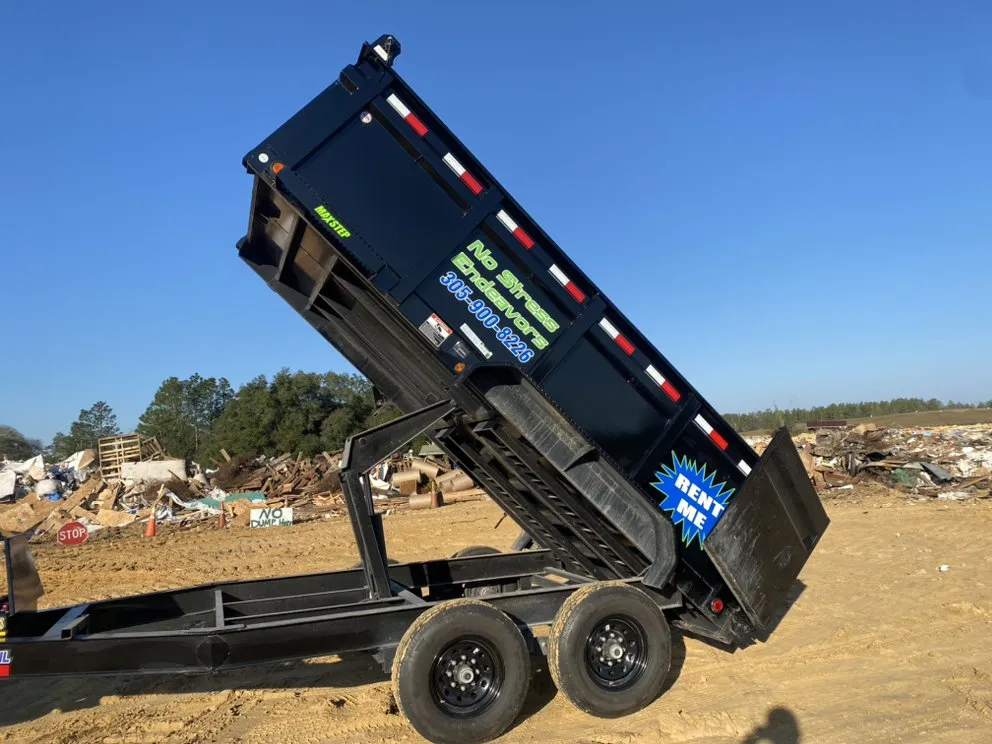 Reliable yard cleanup service in Williston, FL - No Stress Endeavors