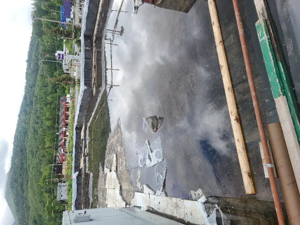 Trusted landscaping services for homes in Anchorage, AK by No Strings Attached Services