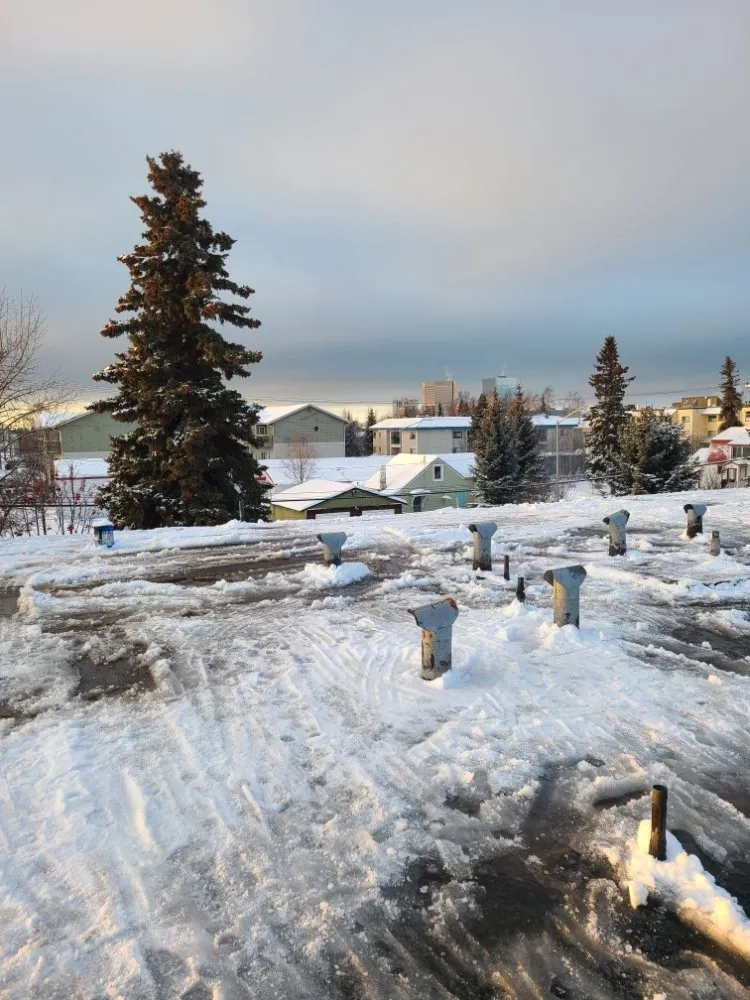 Local yard maintenance in Anchorage, AK by No Strings Attached Services