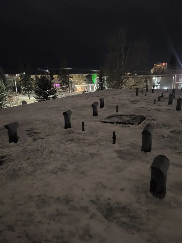 Trusted landscape installation for outdoor upgrades in Anchorage, AK by No Strings Attached Services