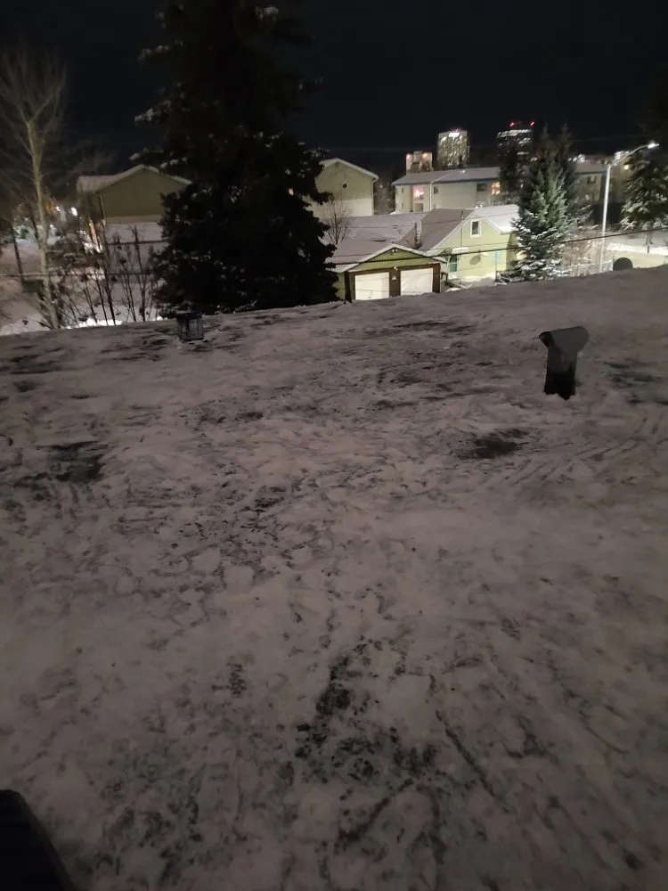 Custom yard maintenance in Anchorage, AK by No Strings Attached Services