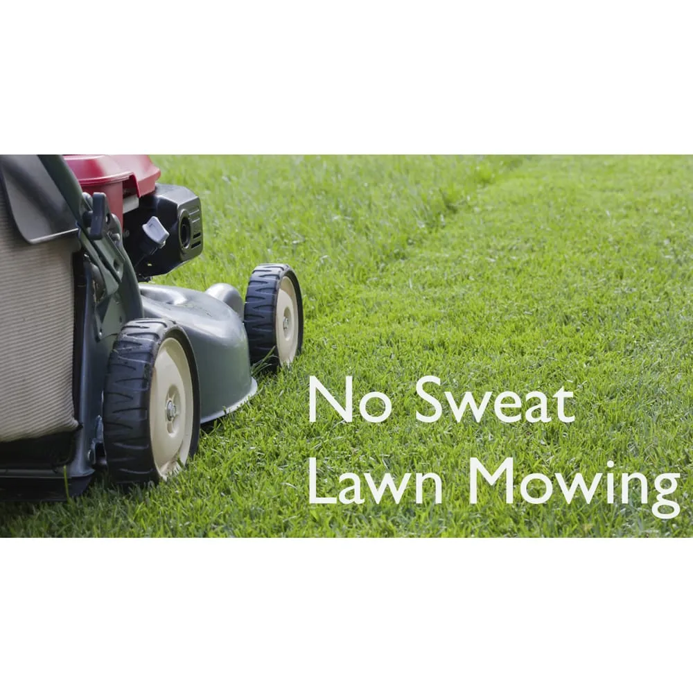 Professional yard maintenance in Lewisburg, PA by No Sweat Tree Surgeons