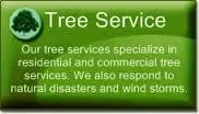 Custom yard maintenance for residential properties in Lewisburg, PA by No Sweat Tree Surgeons