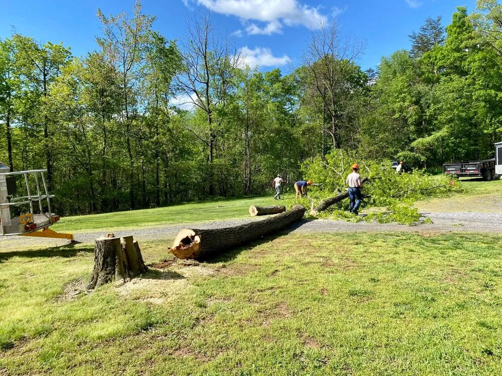 Top-rated residential landscaping experts serving Lewisburg, PA - No Sweat Tree Surgeons