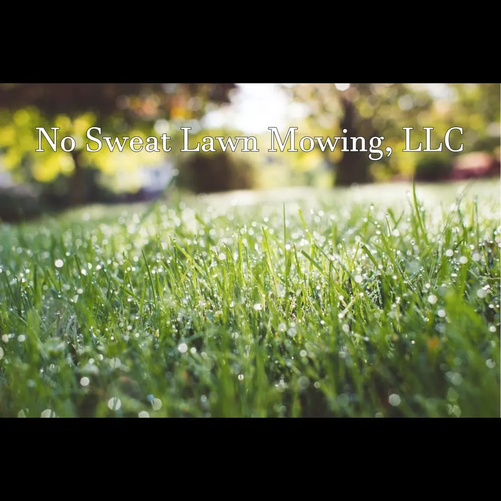 Top-rated lawn mowing service in Lewisburg, PA - No Sweat Tree Surgeons