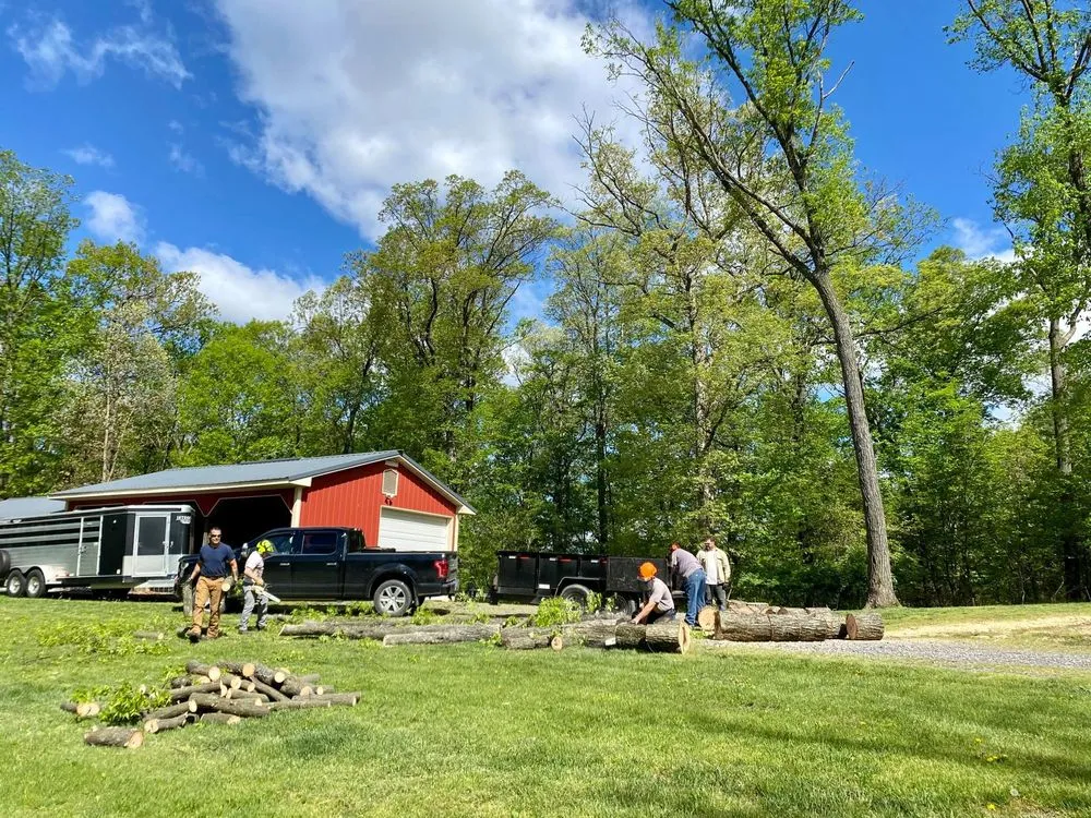 Local outdoor landscaping experts serving Lewisburg, PA - No Sweat Tree Surgeons