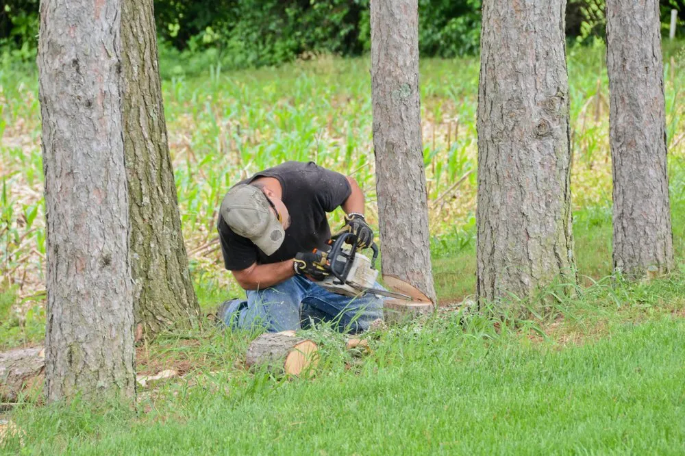 Affordable landscape installation with custom design across Lewisburg, PA - No Sweat Tree Surgeons