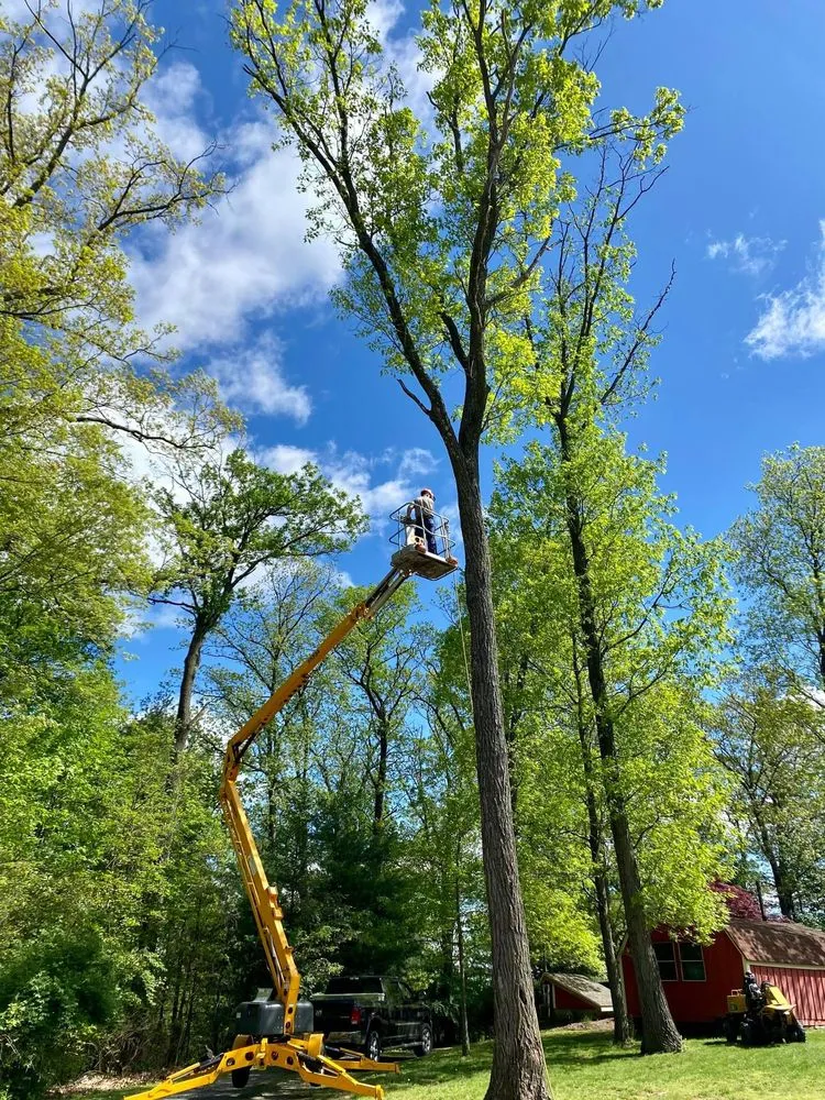 Local landscaping services in Lewisburg, PA by No Sweat Tree Surgeons