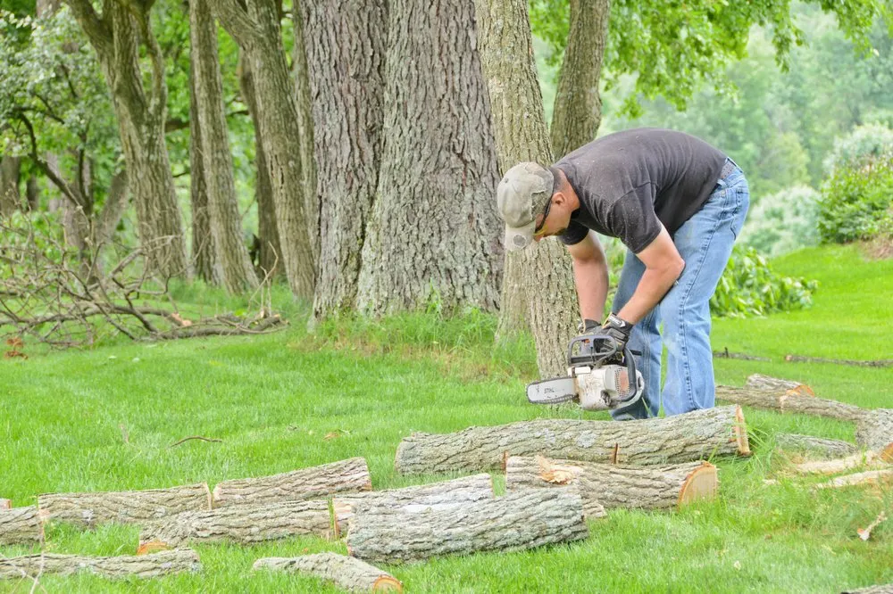 Local garden landscaping in Lewisburg, PA by No Sweat Tree Surgeons