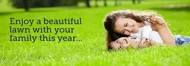 No Sweat Tree Surgeons