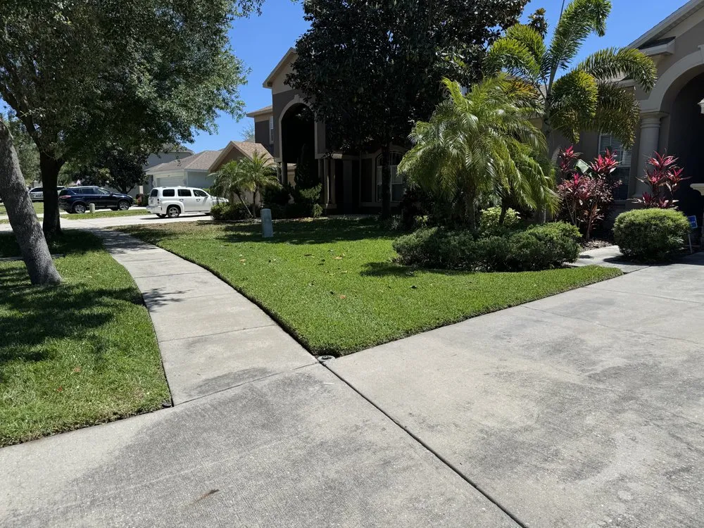 Custom yard maintenance in Thonotosassa, FL by No weeds lawn care