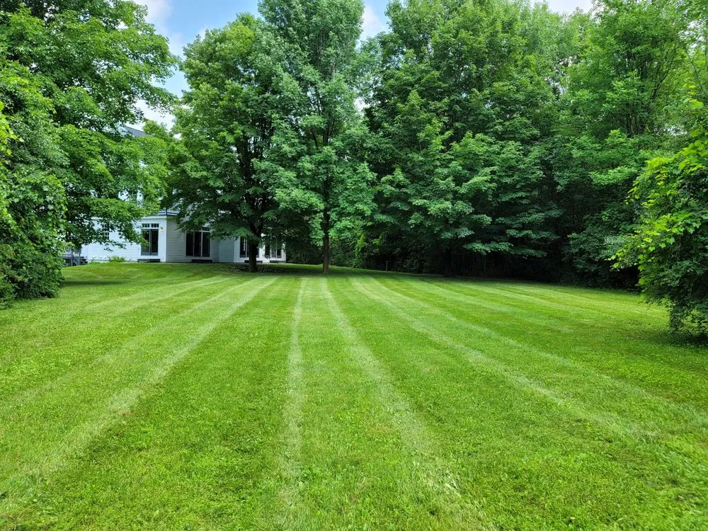 Trusted yard cleanup service experts serving Williston, VT - No Worries Lawn and Plow