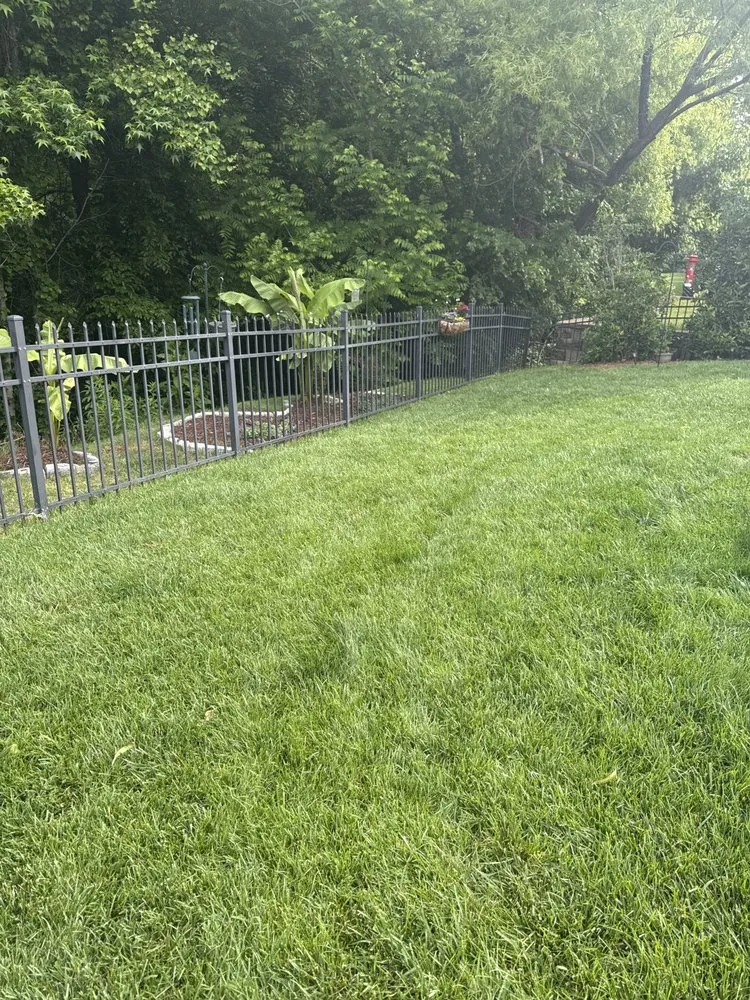 Trusted residential landscaping for homes across Mint Hill, NC - No Worries Lawn Care