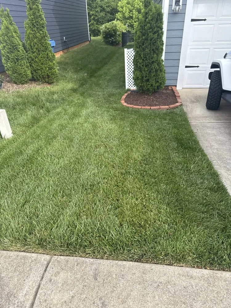 Affordable yard cleanup service for year-round maintenance across Mint Hill, NC - No Worries Lawn Care