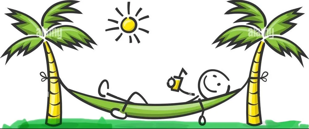 Expert residential landscaping in Mint Hill, NC by No Worries Lawn Care