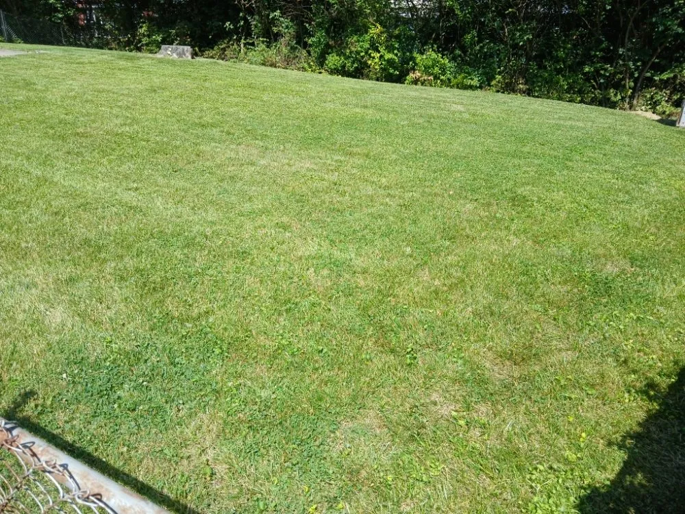 Trusted lawn care service for beautiful yards in Cincinnati, OH by No Worries Lawncare