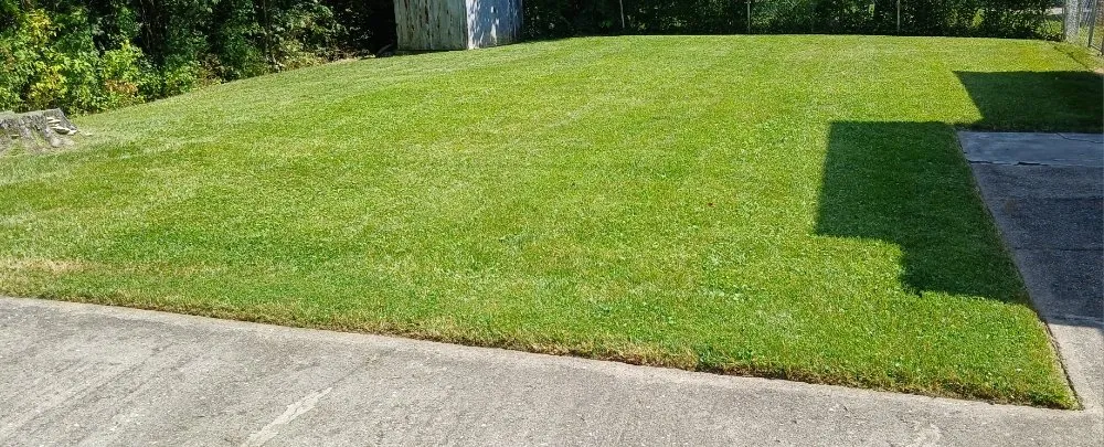 Affordable outdoor landscaping experts serving Cincinnati, OH - No Worries Lawncare