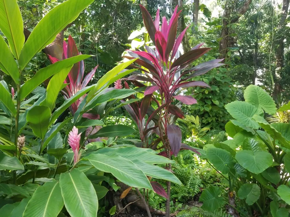 Custom landscape installation experts serving Pompano Beach, FL - No Worries Property Maintenance