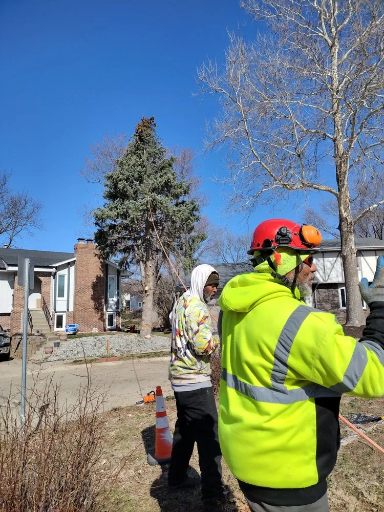 Top-rated landscape installation experts serving Omaha, NE - No Worries Property Solutions