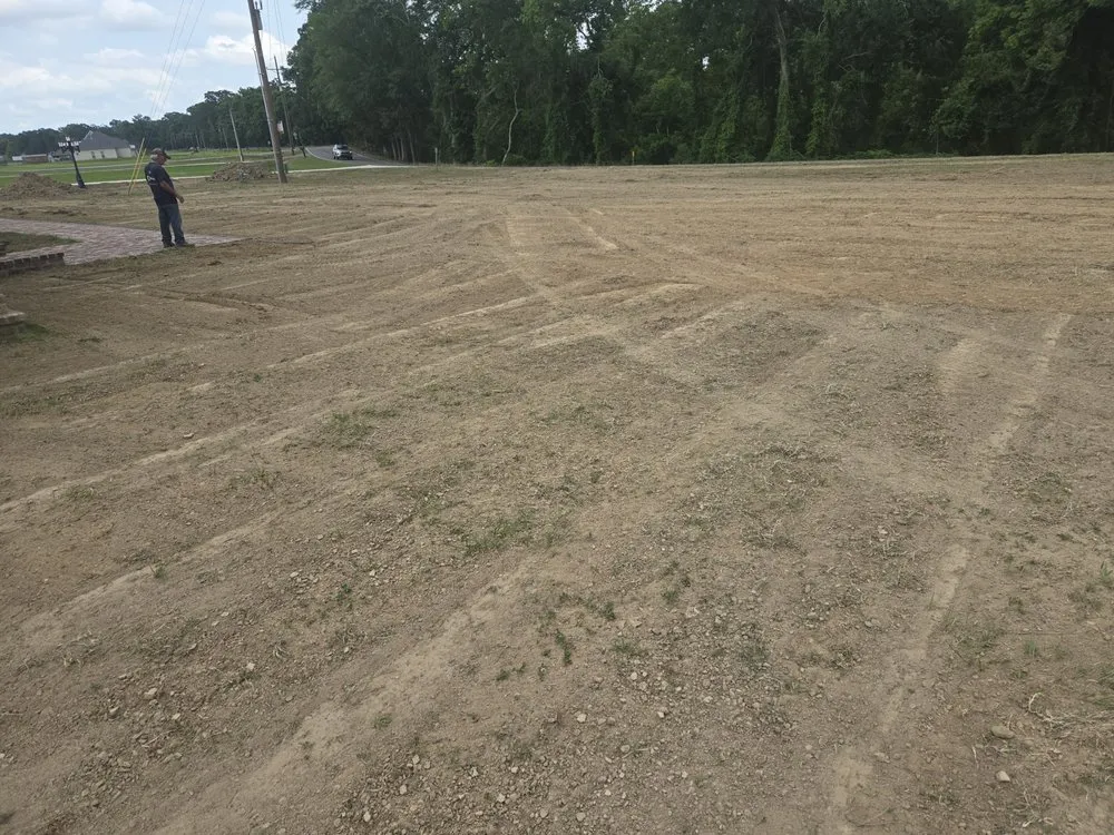 Professional garden landscaping for year-round maintenance across Prairieville, LA - No2 The Same Landscaping