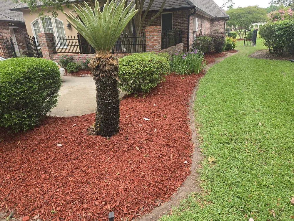 Local landscape installation in Prairieville, LA - No2 The Same Landscaping