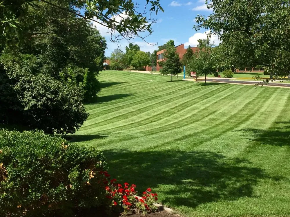 Professional landscaping services in Binghamton, NY by Noah & Sons