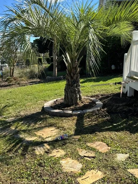 Reliable yard cleanup service in Bolivia, NC - Noah & Sons Landscaping