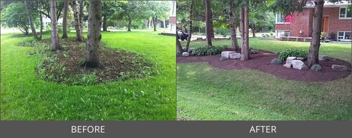 Top-rated lawn care service in Cleveland, OH - Noah and Noah Lawn Care