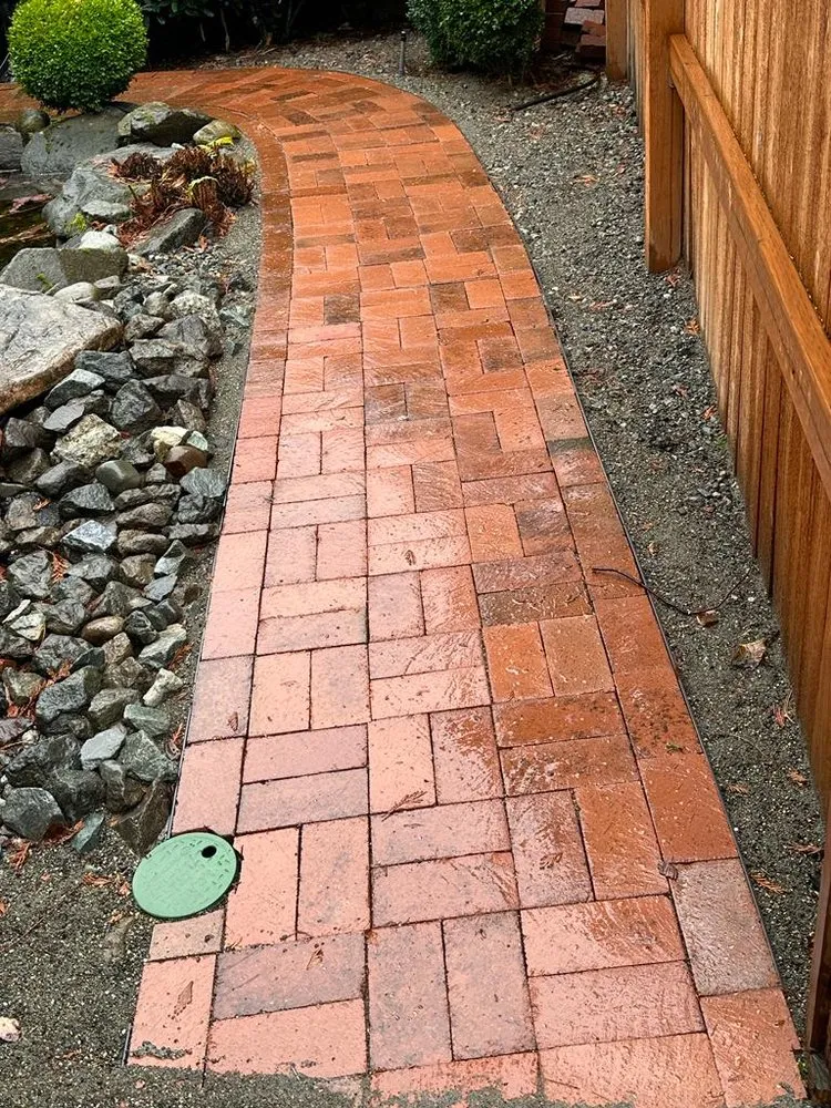 Reliable yard cleanup service in Kirkland, WA - Noah Landscaping Construction