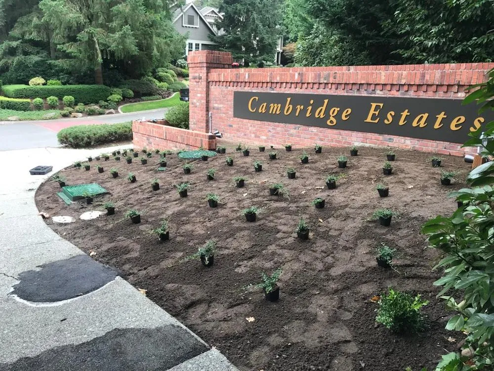 Top-rated lawn mowing service experts serving Kirkland, WA - Noah Landscaping Construction