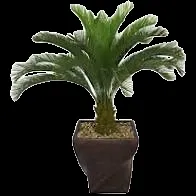 Affordable landscape installation in Victorville, CA - Noah Lanscaping & Plus