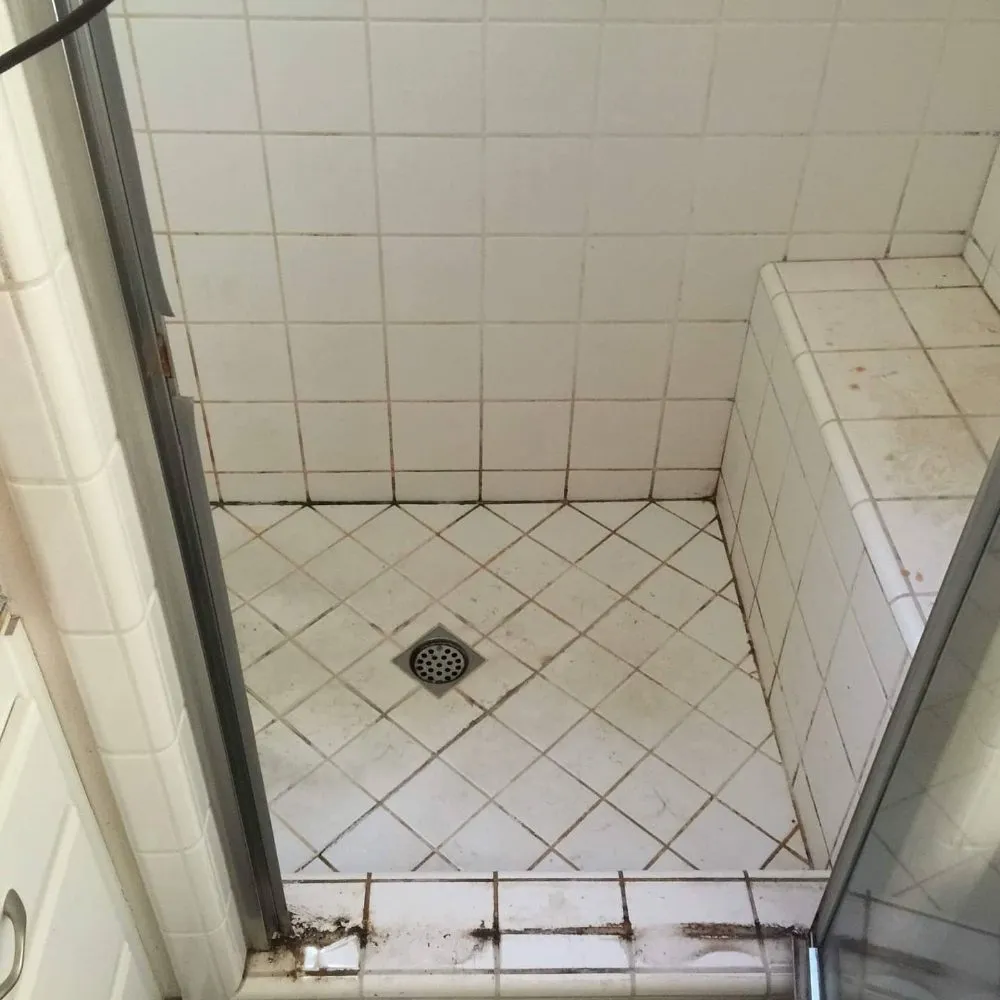 Reliable yard cleanup service in Bella Vista, CA by Noah McDermott