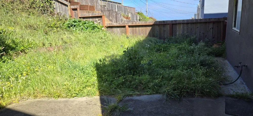 Professional lawn mowing service in San Francisco, CA by Noah Murraymetzger Landscapes and Gardens