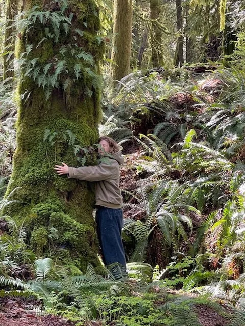 Local landscape design for residential properties across San Francisco, CA - Noah Murraymetzger Landscapes and Gardens