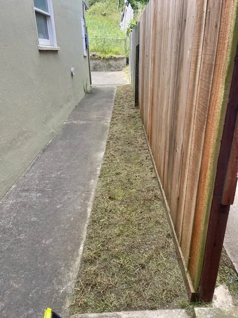 Top-rated lawn mowing service in San Francisco, CA - Noah Murraymetzger Landscapes and Gardens
