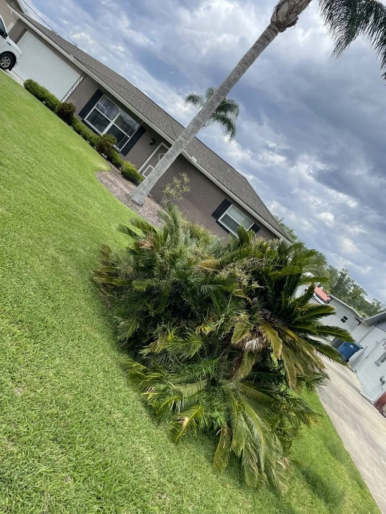 Custom landscaping services for residential properties across Astor, FL - Noah’s Ark Lawn Maintenance Landscaping