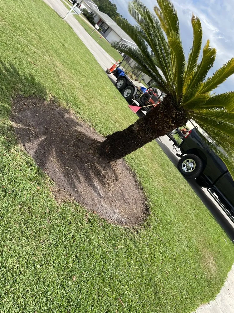 Affordable residential landscaping experts serving Astor, FL - Noah’s Ark Lawn Maintenance Landscaping