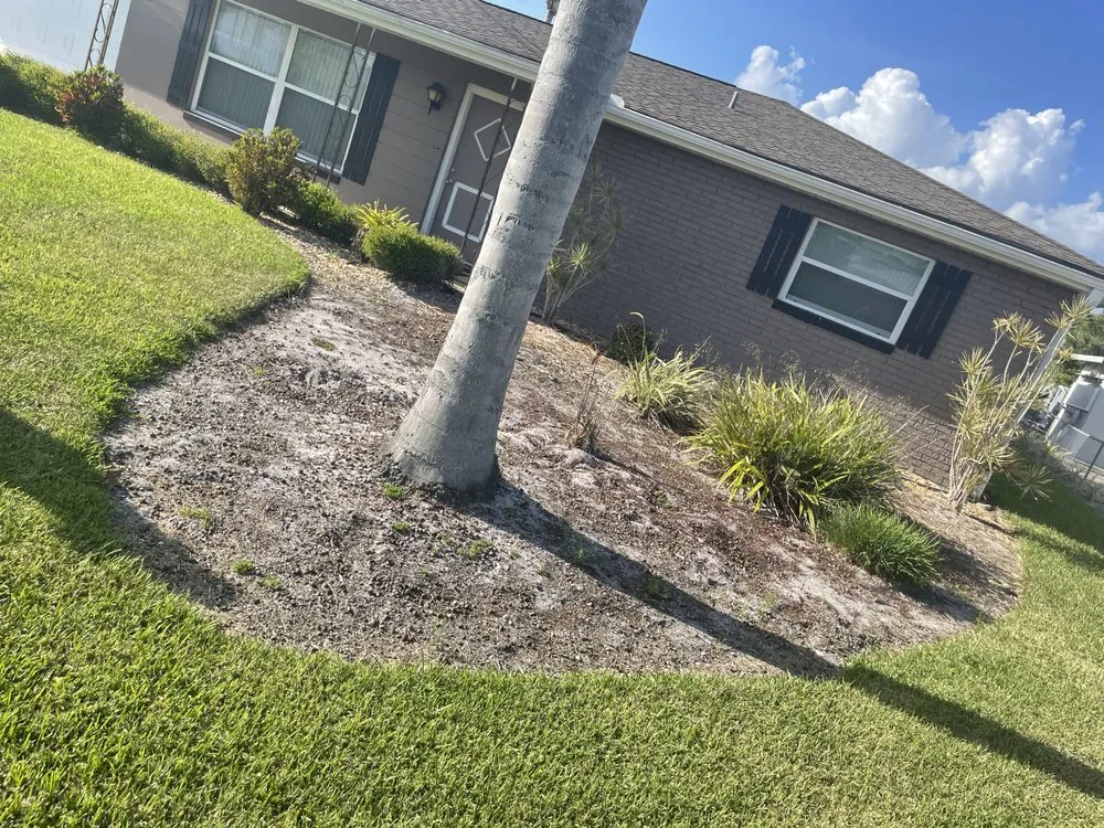 Top-rated lawn care service for residential properties across Astor, FL - Noah’s Ark Lawn Maintenance Landscaping