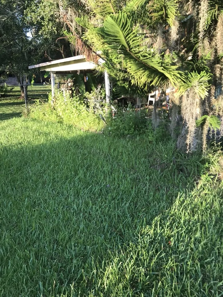 Trusted garden landscaping near you in Astor, FL by Noah’s Ark Lawn Maintenance Landscaping