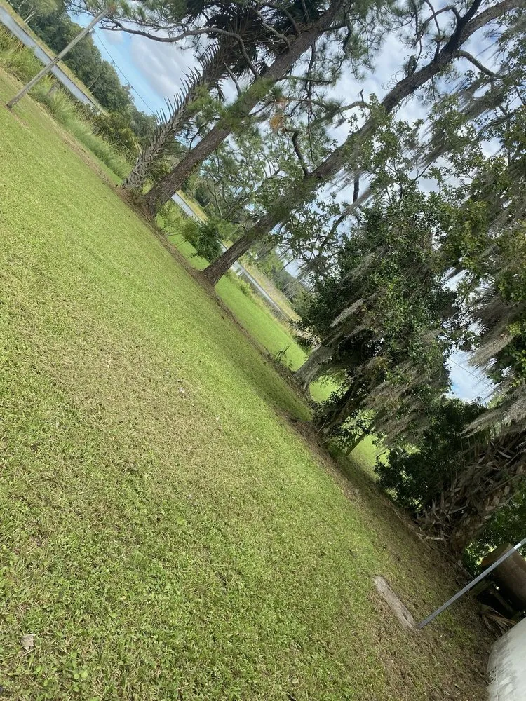Affordable residential landscaping in Astor, FL - Noah’s Ark Lawn Maintenance Landscaping