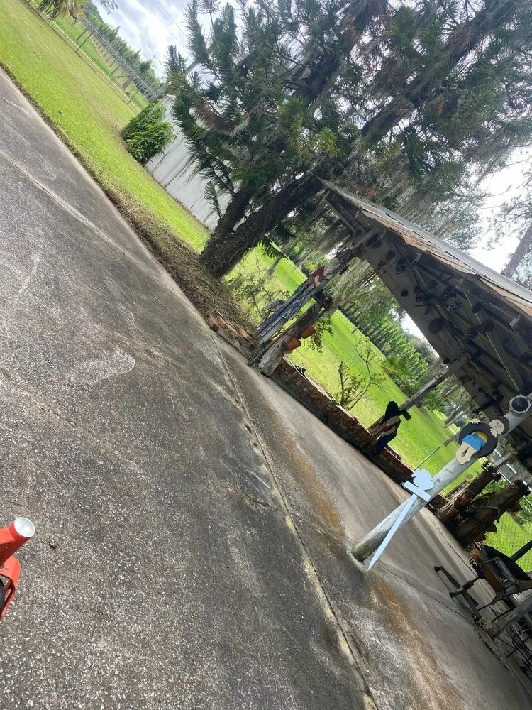 Reliable outdoor landscaping in Astor, FL - Noah’s Ark Lawn Maintenance Landscaping