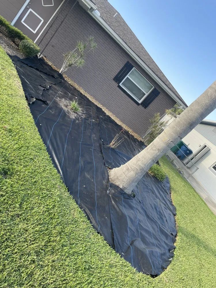 Reliable landscaping services near you across Astor, FL - Noah’s Ark Lawn Maintenance Landscaping