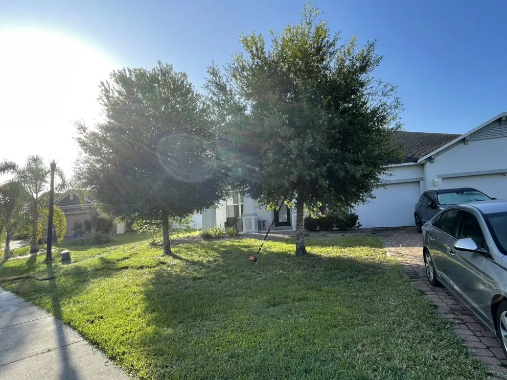 Top-rated landscaping services in Astor, FL - Noah’s Ark Lawn Maintenance Landscaping