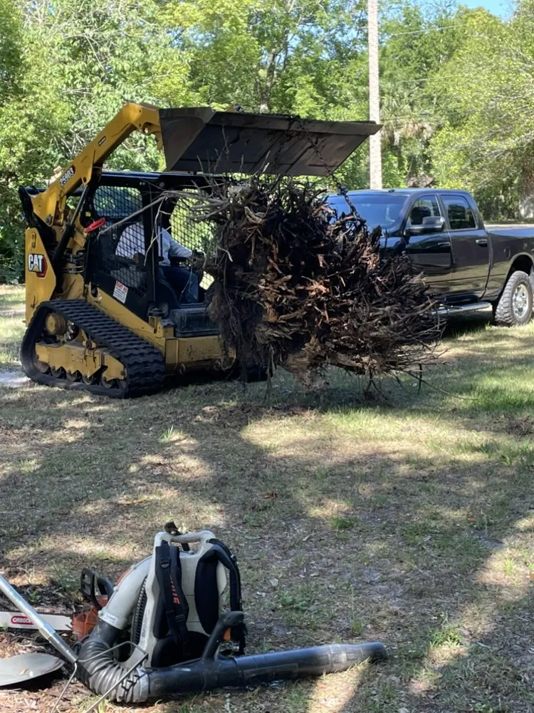 Trusted landscaping services in Astor, FL - Noah’s Ark Lawn Maintenance Landscaping